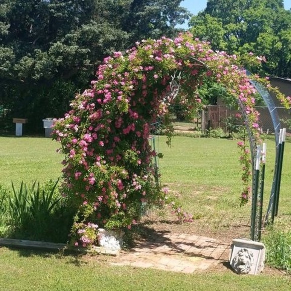 Meet your Posher, Scott - Picture 1 of 1